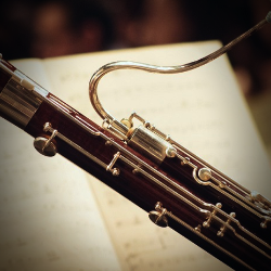 Sounds Of Bassoon